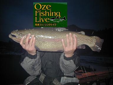 �����t�B�b�V���O���C�u