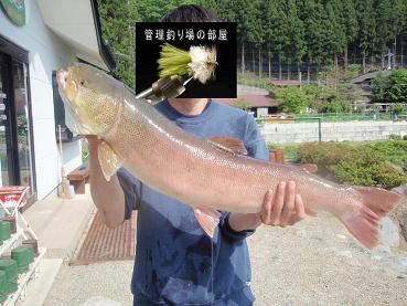 �����t�B�b�V���O���C�u