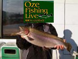 �����t�B�b�V���O���C�u