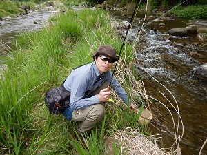 �����t���C�t�B�[���h