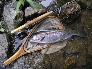 �����t���C�t�B�[���h