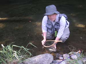 �����t���C�t�B�[���h