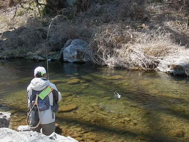 �����t���C�t�B�[���h