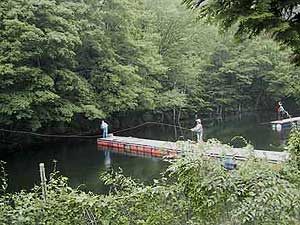 �W���o�t���C�t�B�b�V���O�G���A