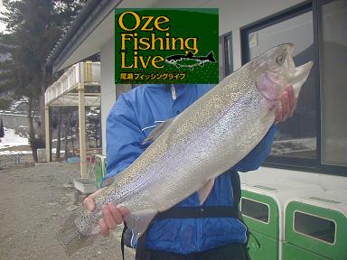 �����t�B�b�V���O���C�u