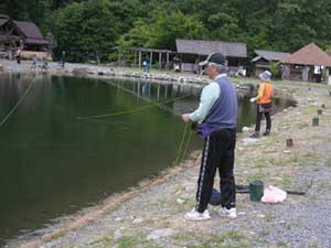 ���C�N�E�b�h���]�[�g