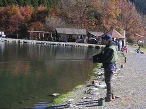 ���C�N�E�b�h���]�[�g