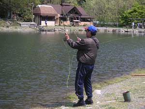 ���C�N�E�b�h���]�[�g