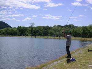 ���C�N�E�b�h���]�[�g