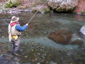 TOKYO�g���E�g�J���g���[