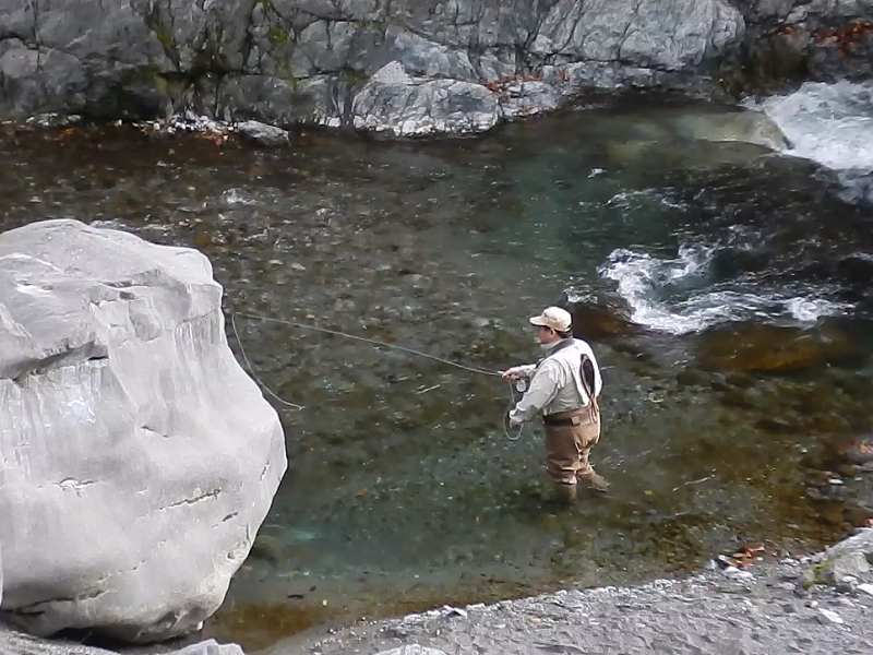 TOKYO�g���E�g�J���g���[