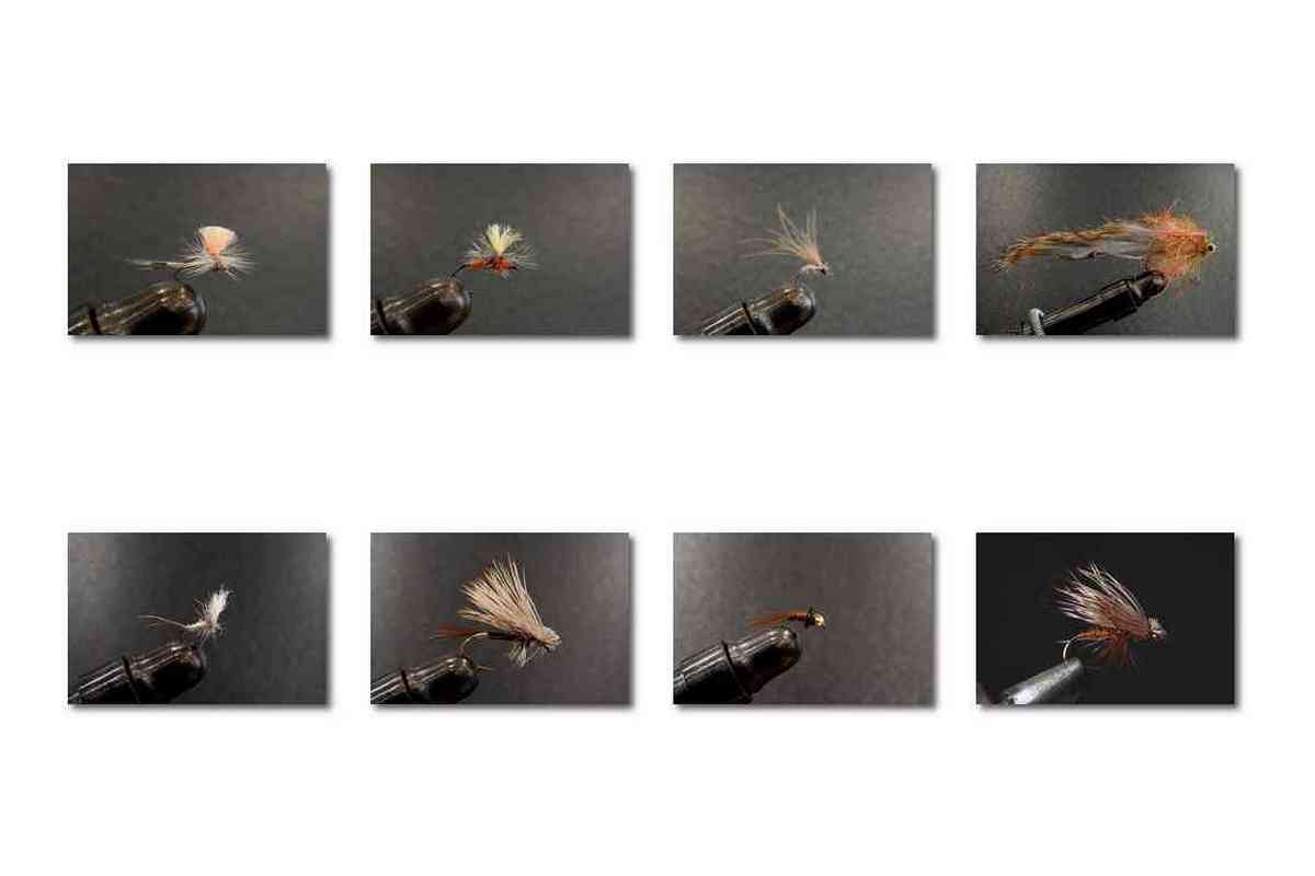 �t���C�^�C�C���O�׋���